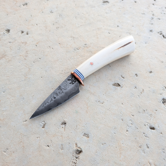 75mm Carbon Damascus Clad Skinner, Stag Horn Handle