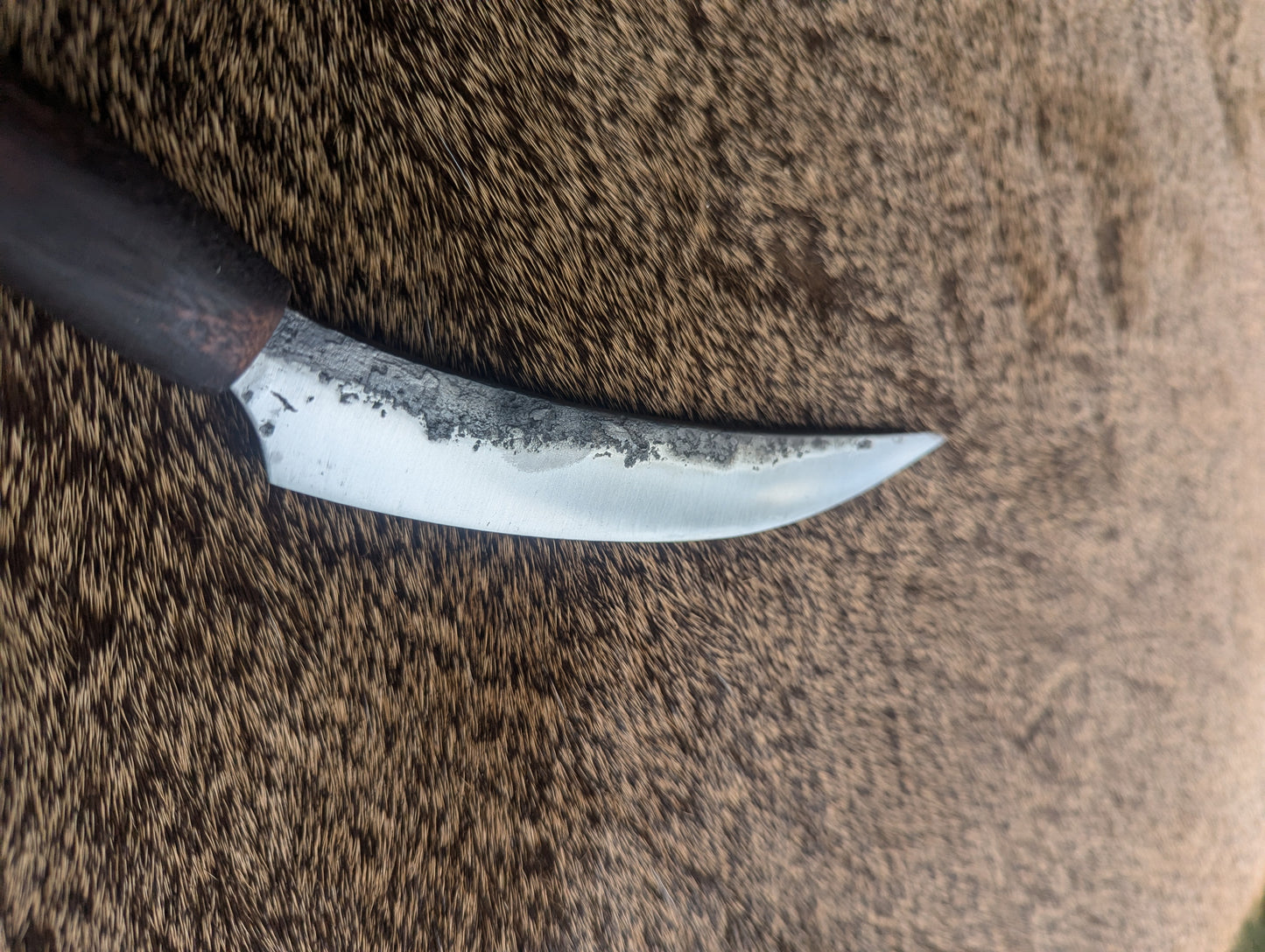 Scimitar butcher's knife